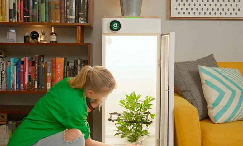 Effortless Gardening: The Latest Automated Grow Box Solutions
