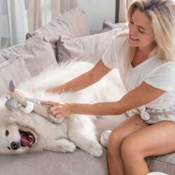Fur-Free Floors: Pet Grooming Vacuums & Floor Cleaning Supplies