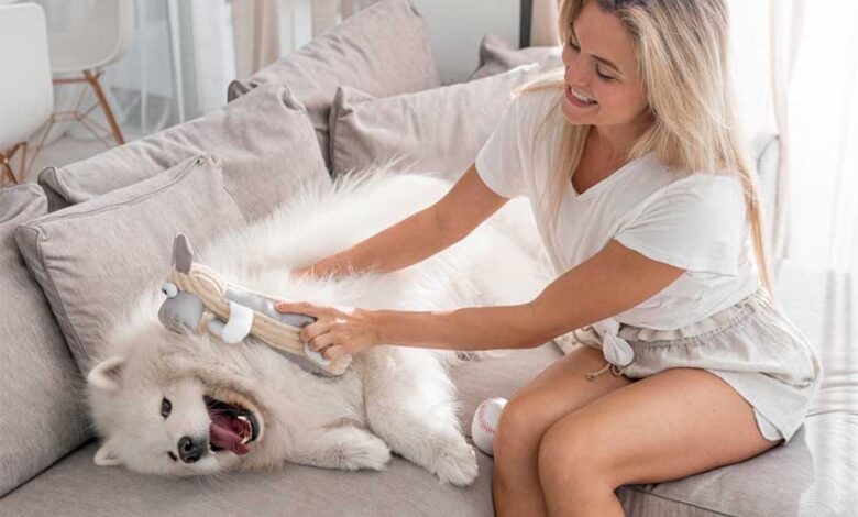 Fur-Free Floors: Pet Grooming Vacuums & Floor Cleaning Supplies