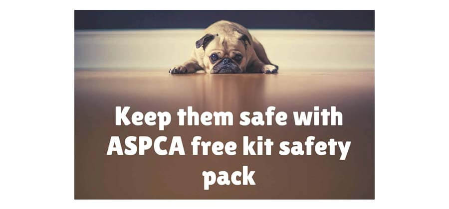 ASPCA Pet Safety Pack