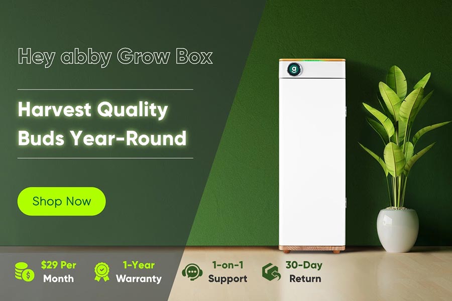 Up To $400 Off Hydroponic Grow Box